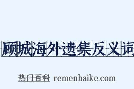 顾城海外遗集反义词是什么意思的图片